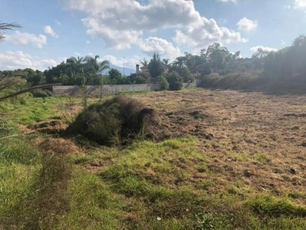 Terreno en Barrio Guadalmina Alta