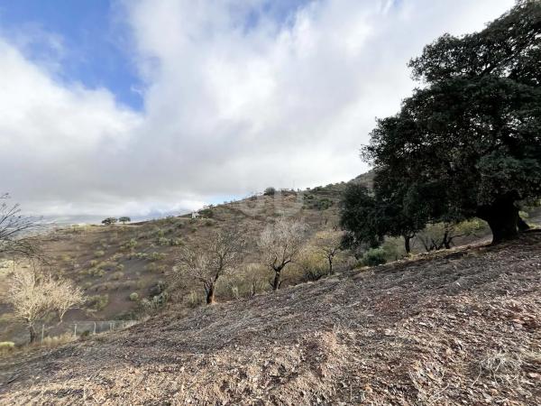 Terreno en calle Porton