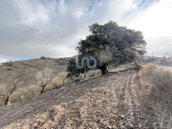 Terreno en calle Porton