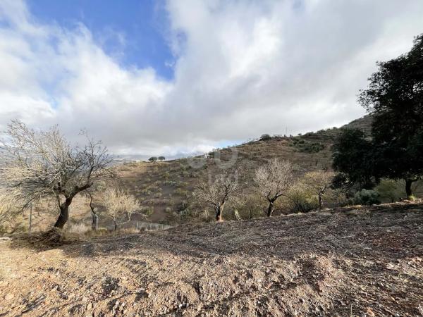 Terreno en calle Porton