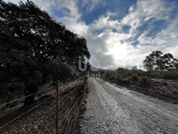 Terreno en calle Porton