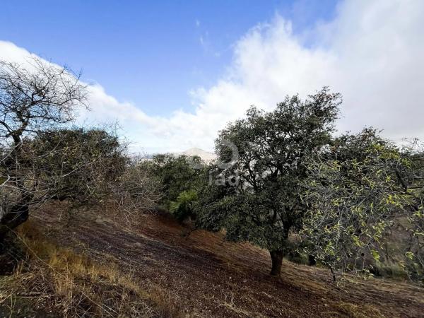 Terreno en calle Porton