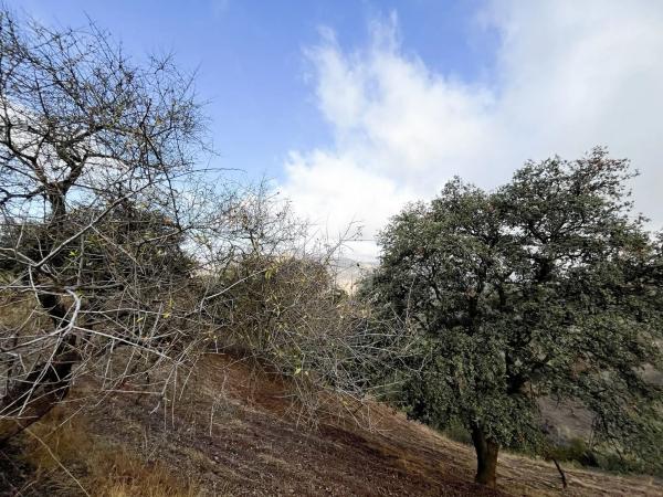 Terreno en calle Porton