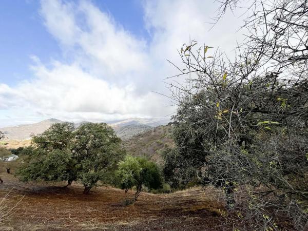 Terreno en calle Porton