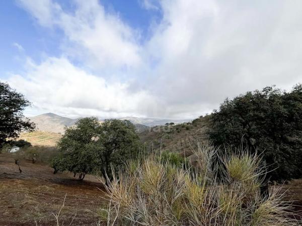 Terreno en calle Porton