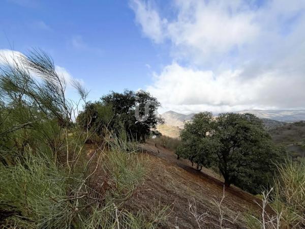 Terreno en calle Porton