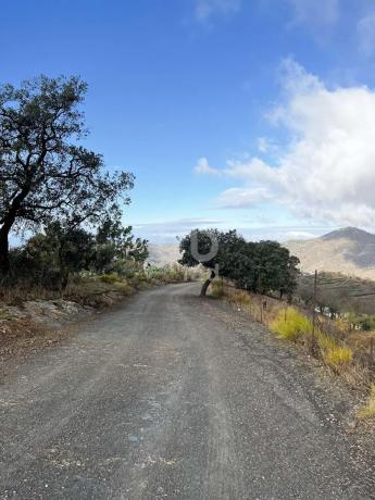 Terreno en calle Porton
