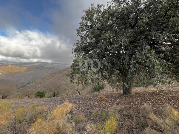 Terreno en calle Porton