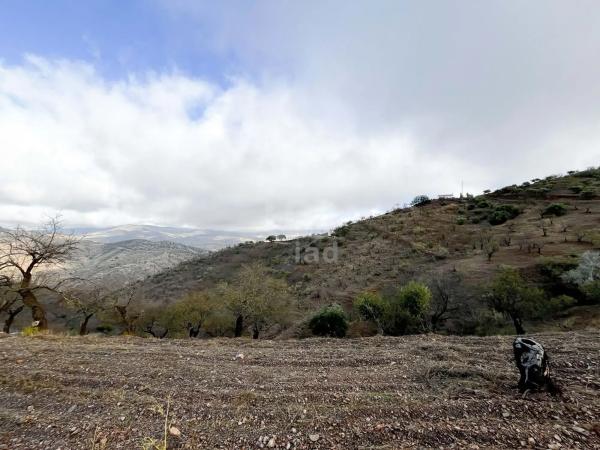Terreno en calle Porton