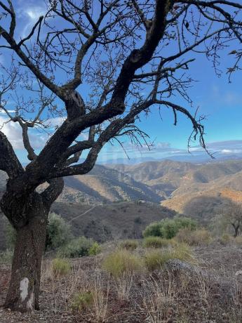 Terreno en calle Porton