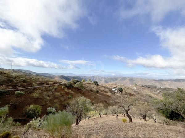 Terreno en calle Porton