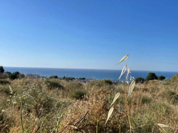 Terreno en calle Reyezuelo