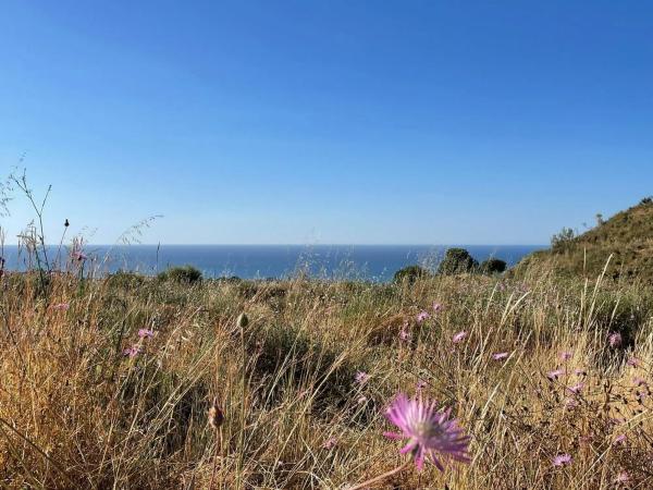 Terreno en calle Reyezuelo