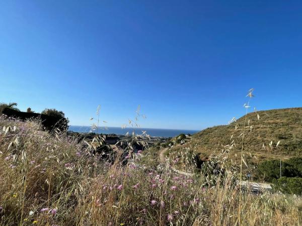 Terreno en calle Reyezuelo
