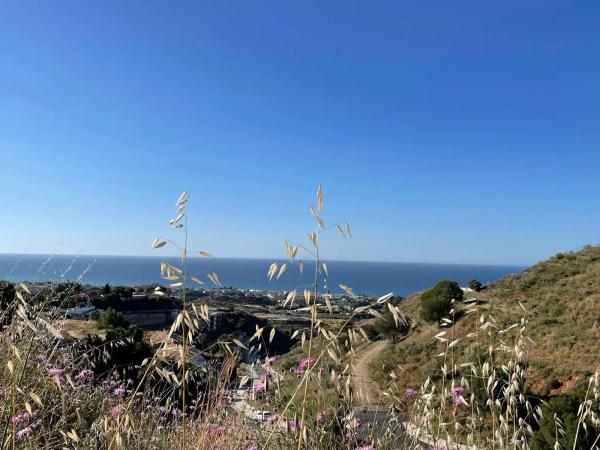 Terreno en calle Reyezuelo