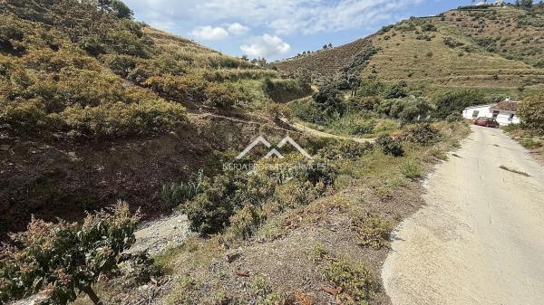 Terreno en Frigiliana