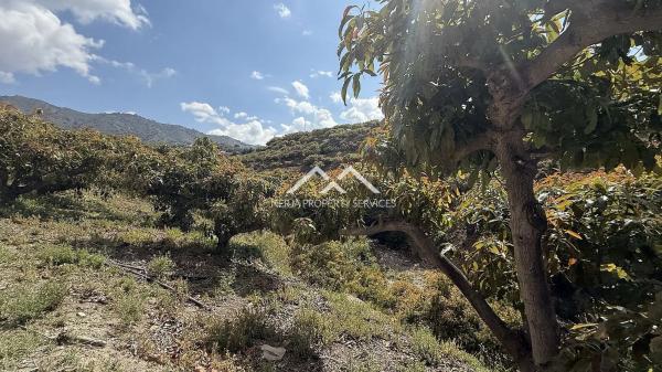 Terreno en Frigiliana