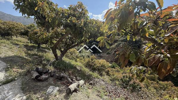 Terreno en Frigiliana