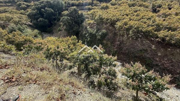 Terreno en Frigiliana