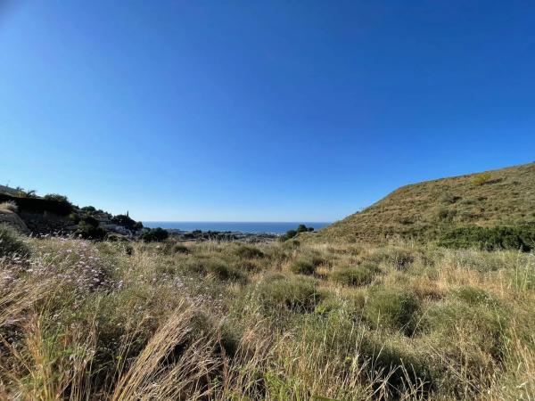 Terreno en calle Reyezuelo