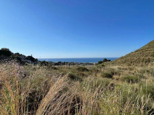 Terreno en calle Reyezuelo