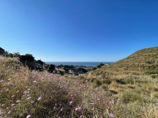 Terreno en calle Reyezuelo