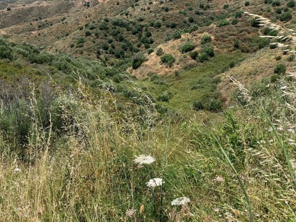 Terreno en las chapas s/n