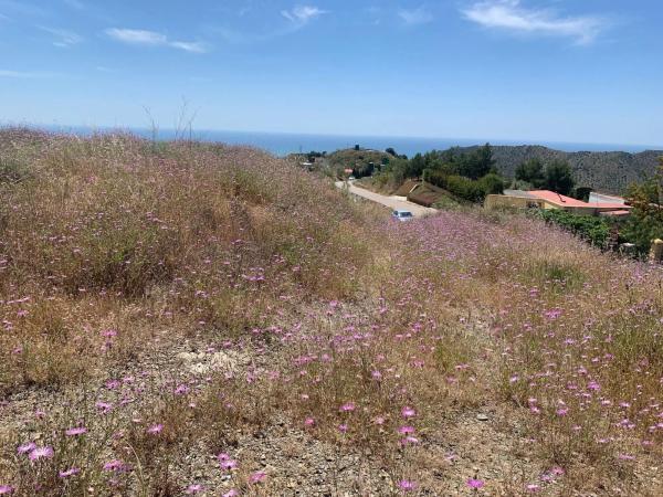 Terreno en Camino Viejo de Málaga
