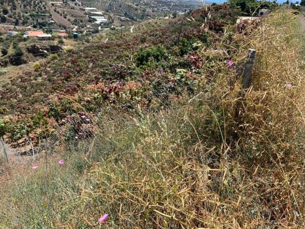 Terreno en Camino Viejo de Málaga