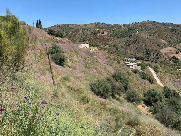 Terreno en Camino Viejo de Málaga