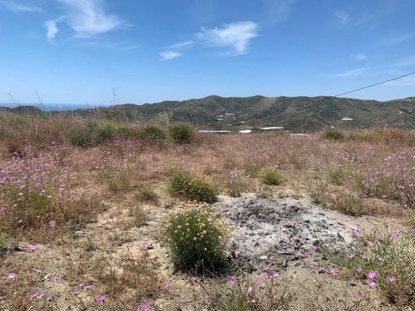 Terreno en Camino Viejo de Málaga