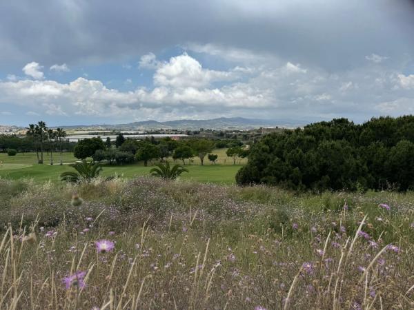 Terreno en calle Moreras de Baviera, 31