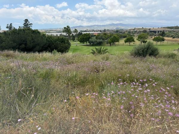 Terreno en calle Moreras de Baviera, 31