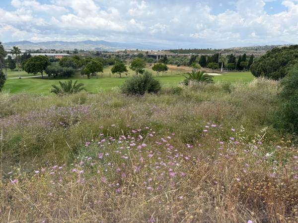 Terreno en calle Moreras de Baviera, 31