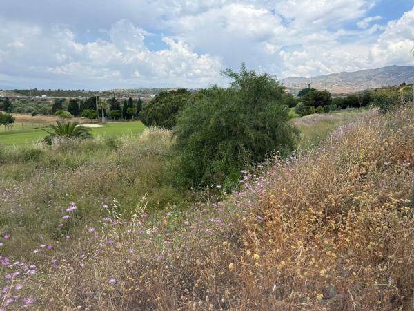 Terreno en calle Moreras de Baviera, 31