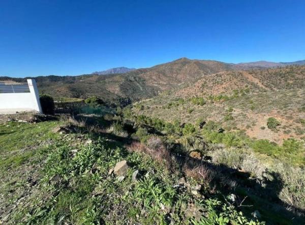 Terreno en calle Isabel Allende