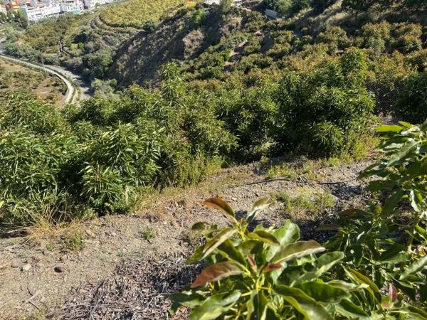 Terreno en parcela 357 s/n