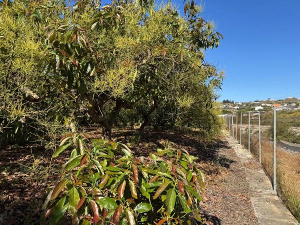 Terreno en parcela 357 s/n