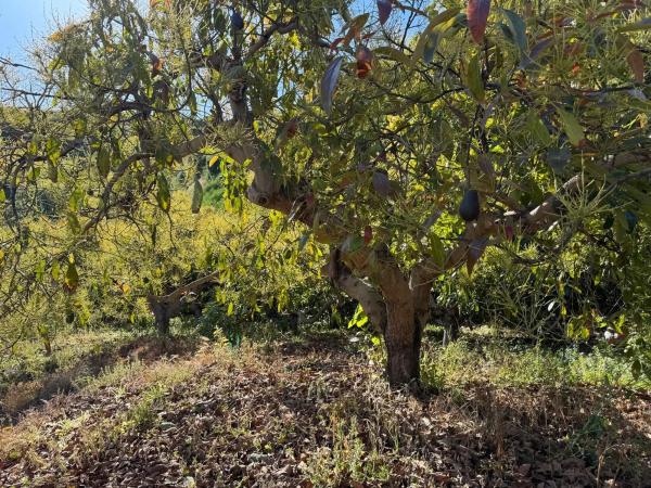 Terreno en parcela 357 s/n