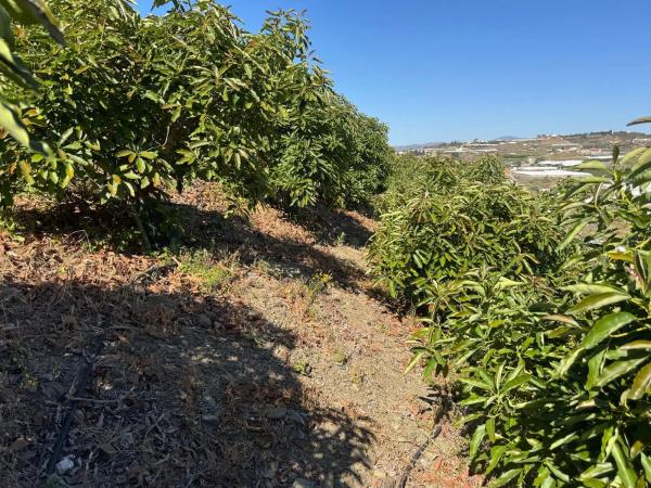 Terreno en parcela 357 s/n