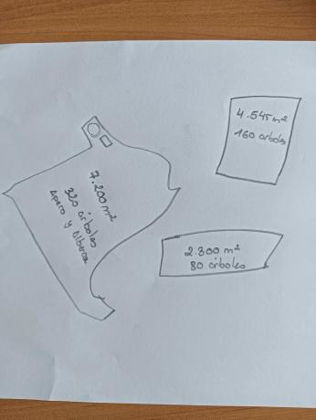 Terreno en parcela 357 s/n