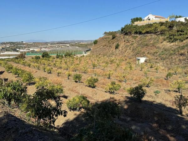 Terreno en parcela 357 s/n