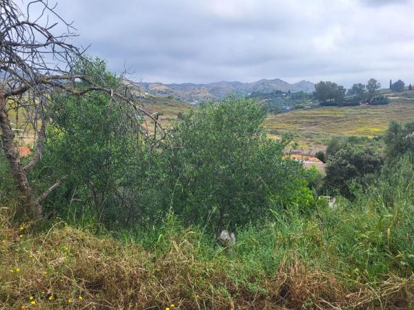 Terreno en Estación