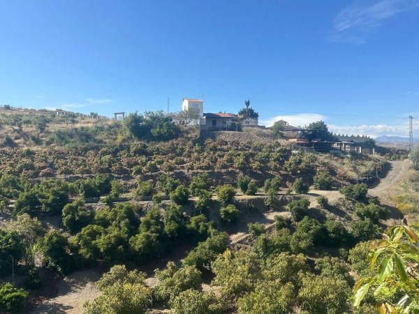 Terreno en Benamocarra, 8