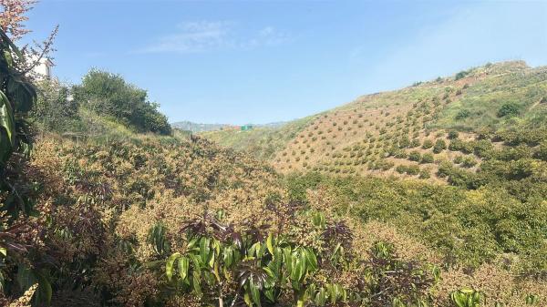 Terreno en Benamocarra, 8