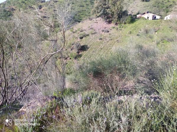 Terreno en Escribano, 23