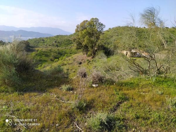 Terreno en Escribano, 23