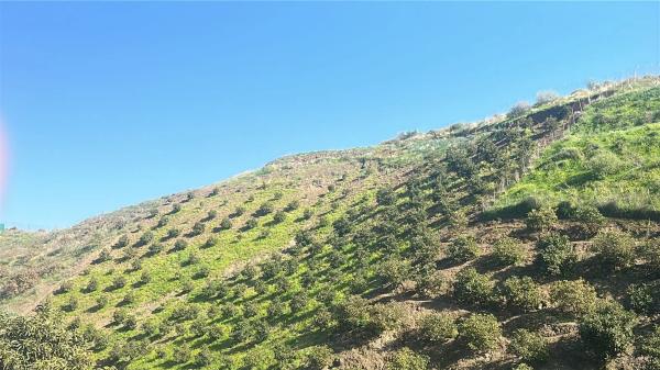 Terreno en Benamocarra, 8