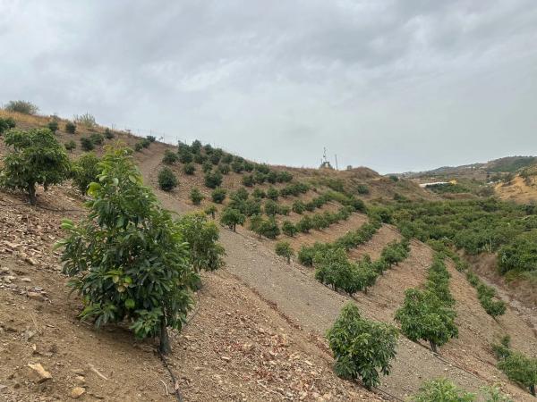 Terreno en Benamocarra, 8