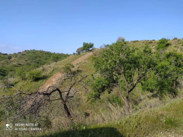 Terreno en Escribano, 23